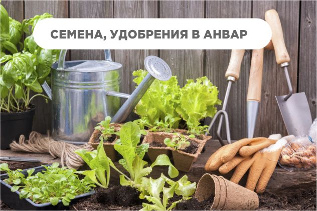 Семена, удобрение и многое другое в Анвар.